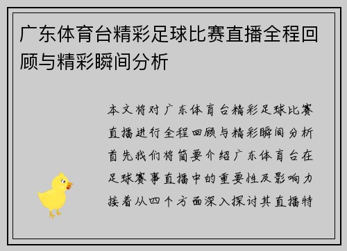 广东体育台精彩足球比赛直播全程回顾与精彩瞬间分析
